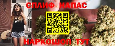 apvp Заволжье