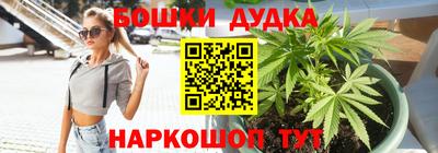 apvp Заволжье