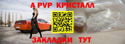 шишки Заводоуковск