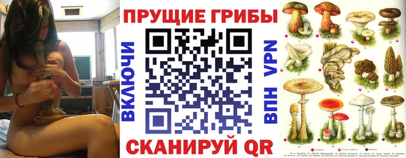 кракен вход  Туймазы  Галлюциногенные грибы мицелий 