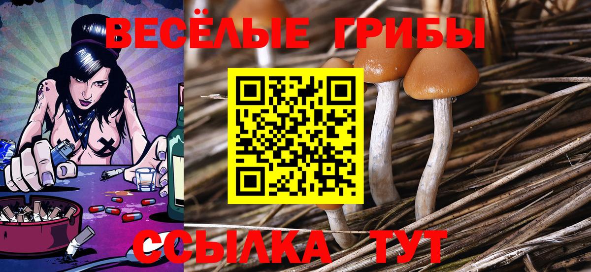 Галлюциногенные грибы GOLDEN TEACHER Туймазы